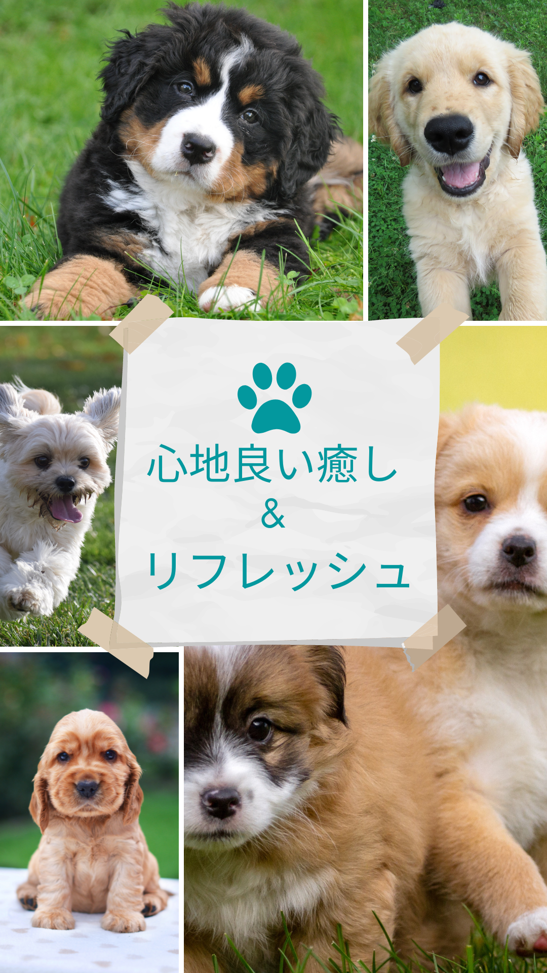 心地よい癒しとリフレッシュ