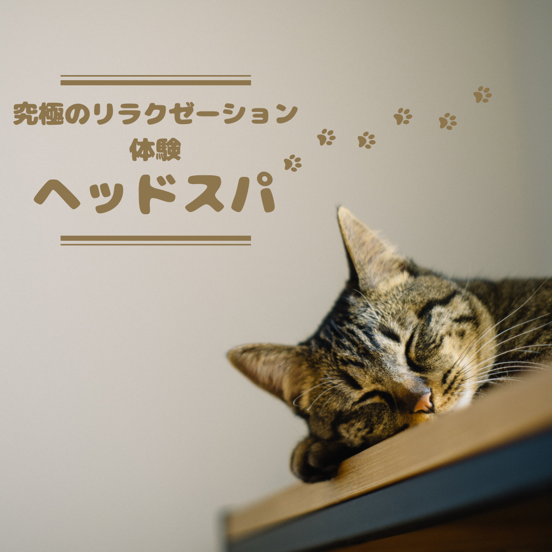 究極のリラクゼーション体験！ヘッドスパで心と髪を癒す方法