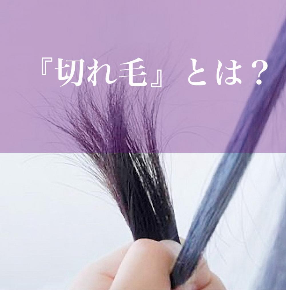 『切れ毛』とは？