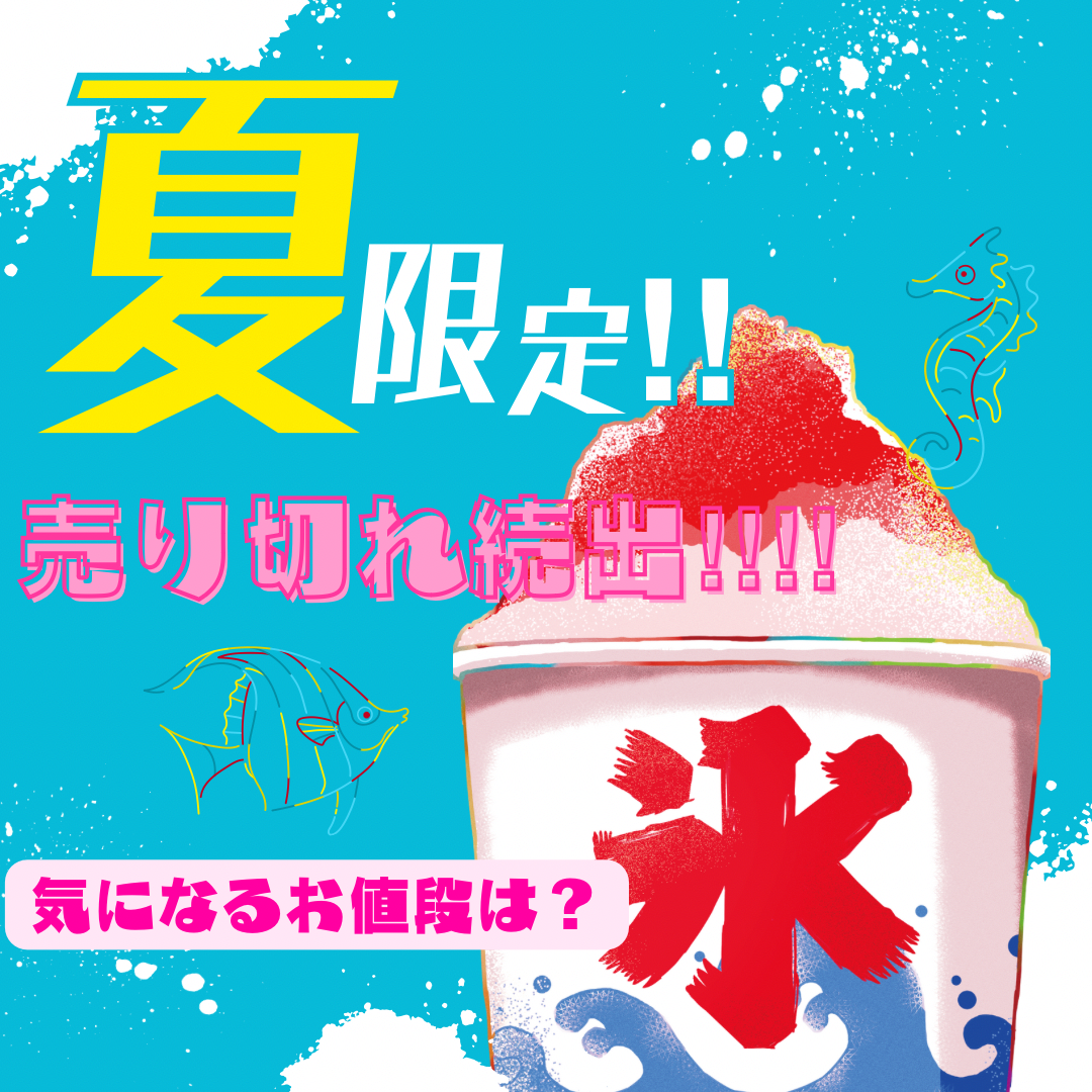 気になるお値段は・・・⁉︎