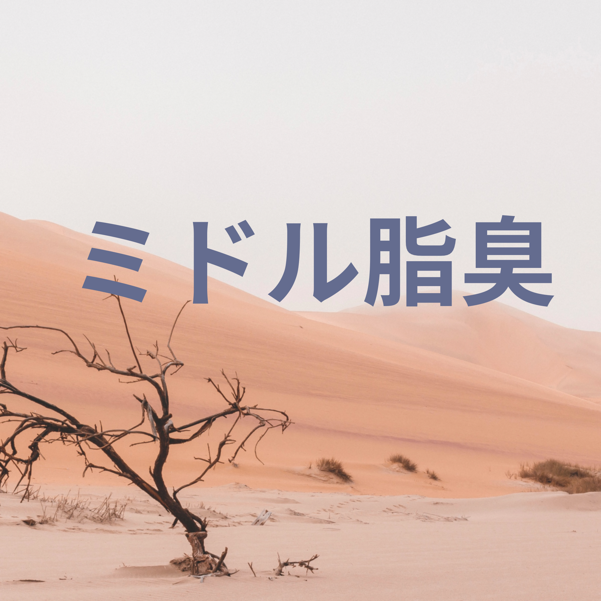 ミドル脂臭