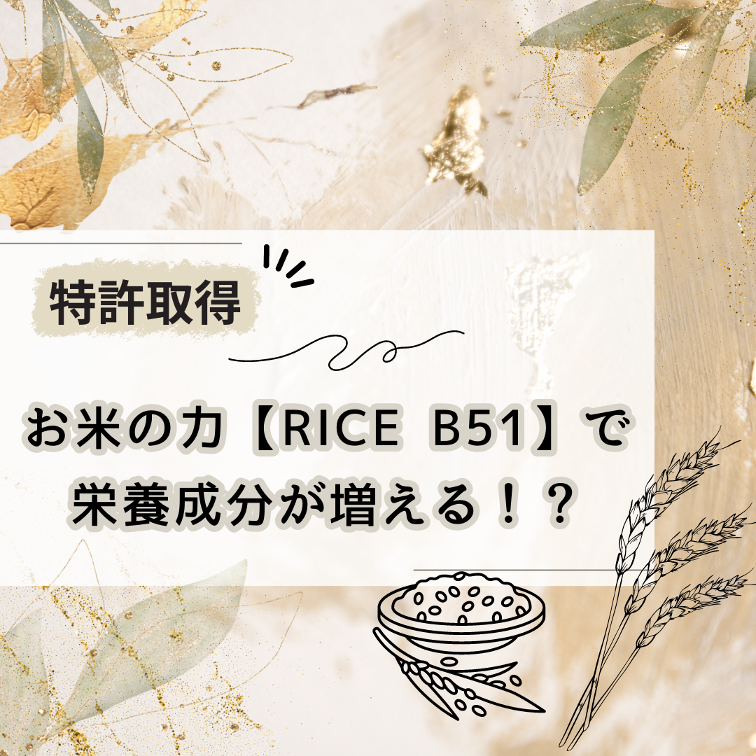 特許取得成分【RICE B51】配合で栄養成分を増幅