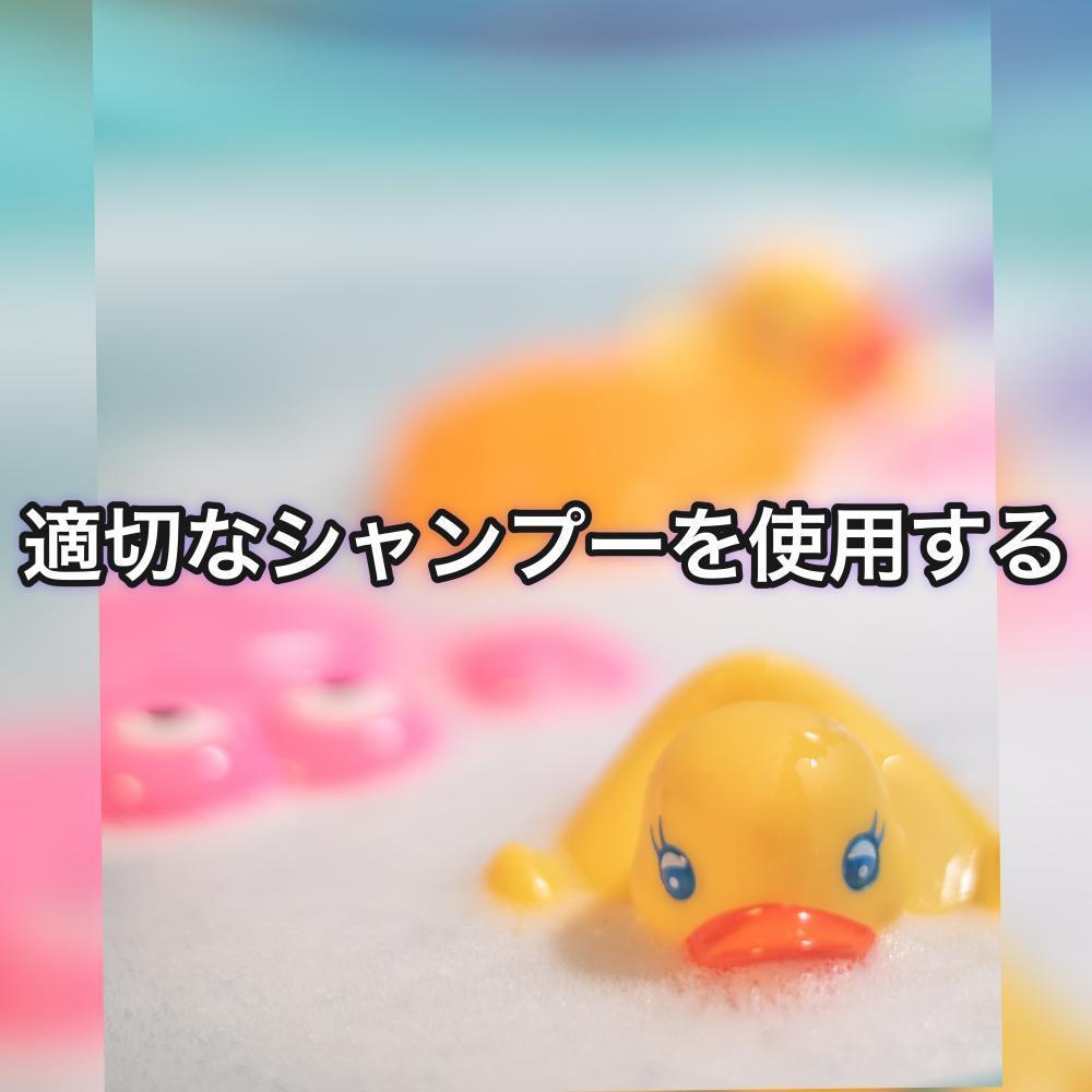 適切なシャンプーを使用する