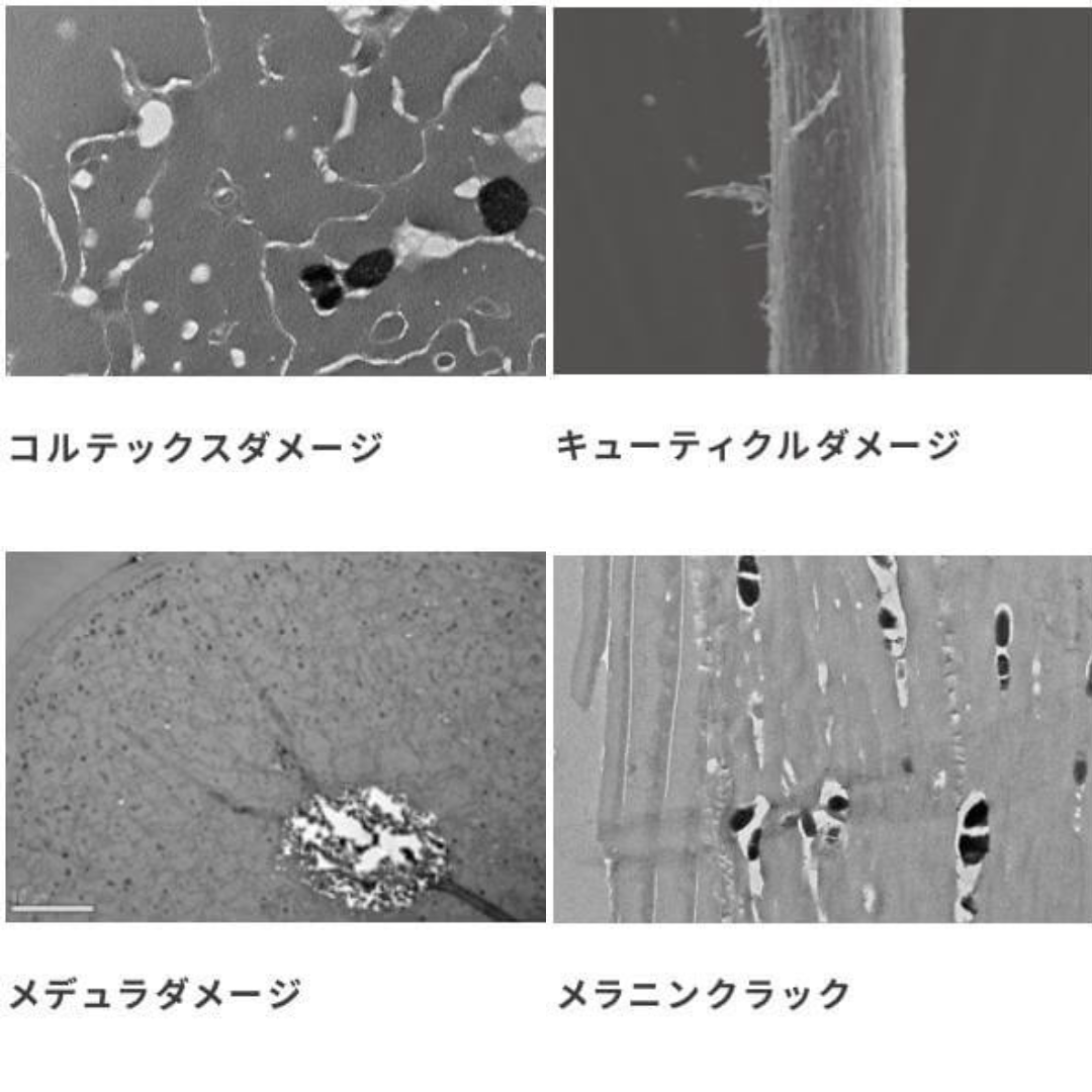 サイエンステクノロジーその１⭐︎ダメージの記憶を選択的に補修。