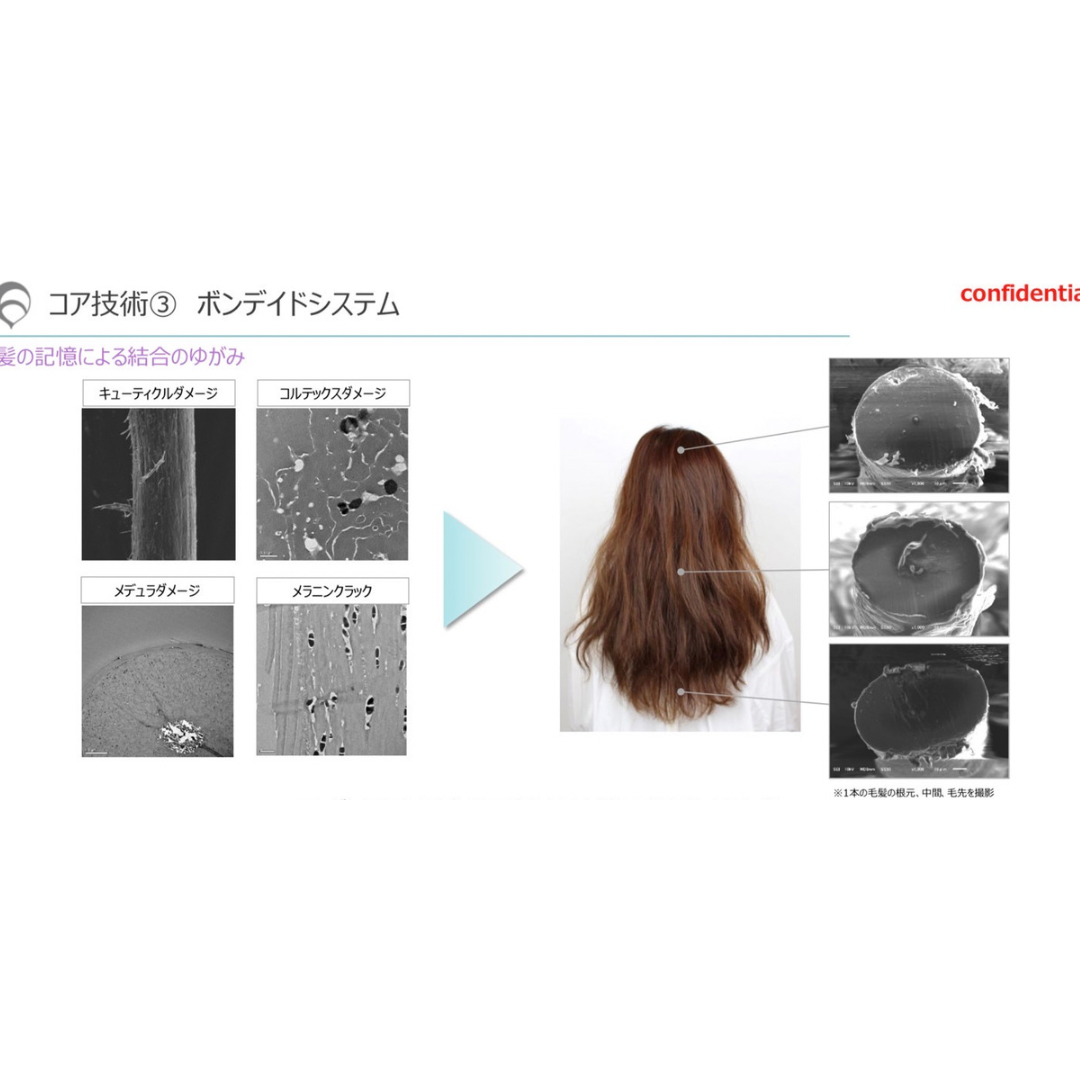 サイエンステクノロジーその3⭐︎髪の記憶を操作する