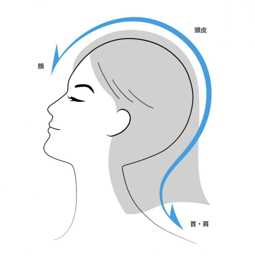 頭皮と顔