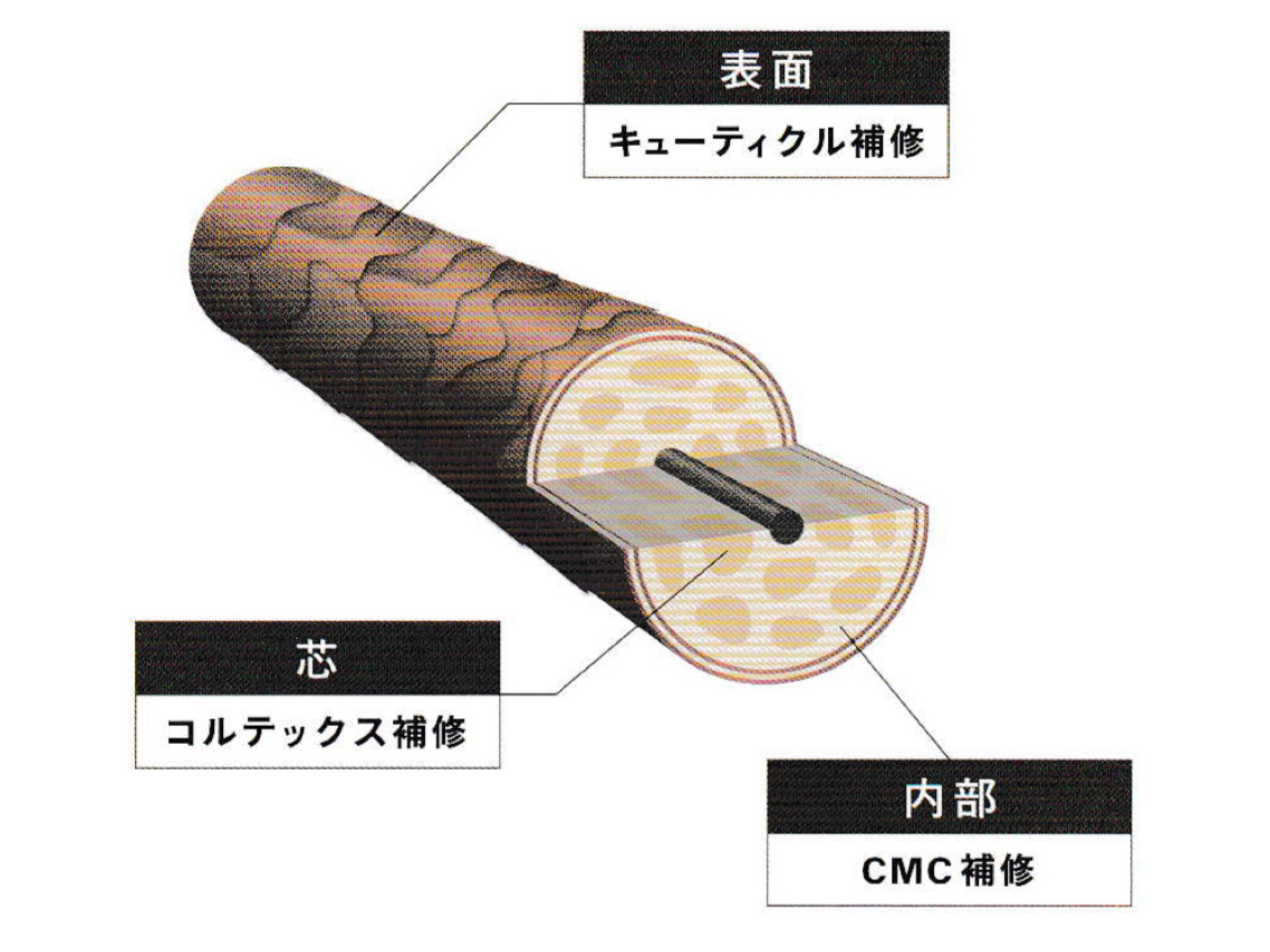 なぜそんなことが可能なのか？
