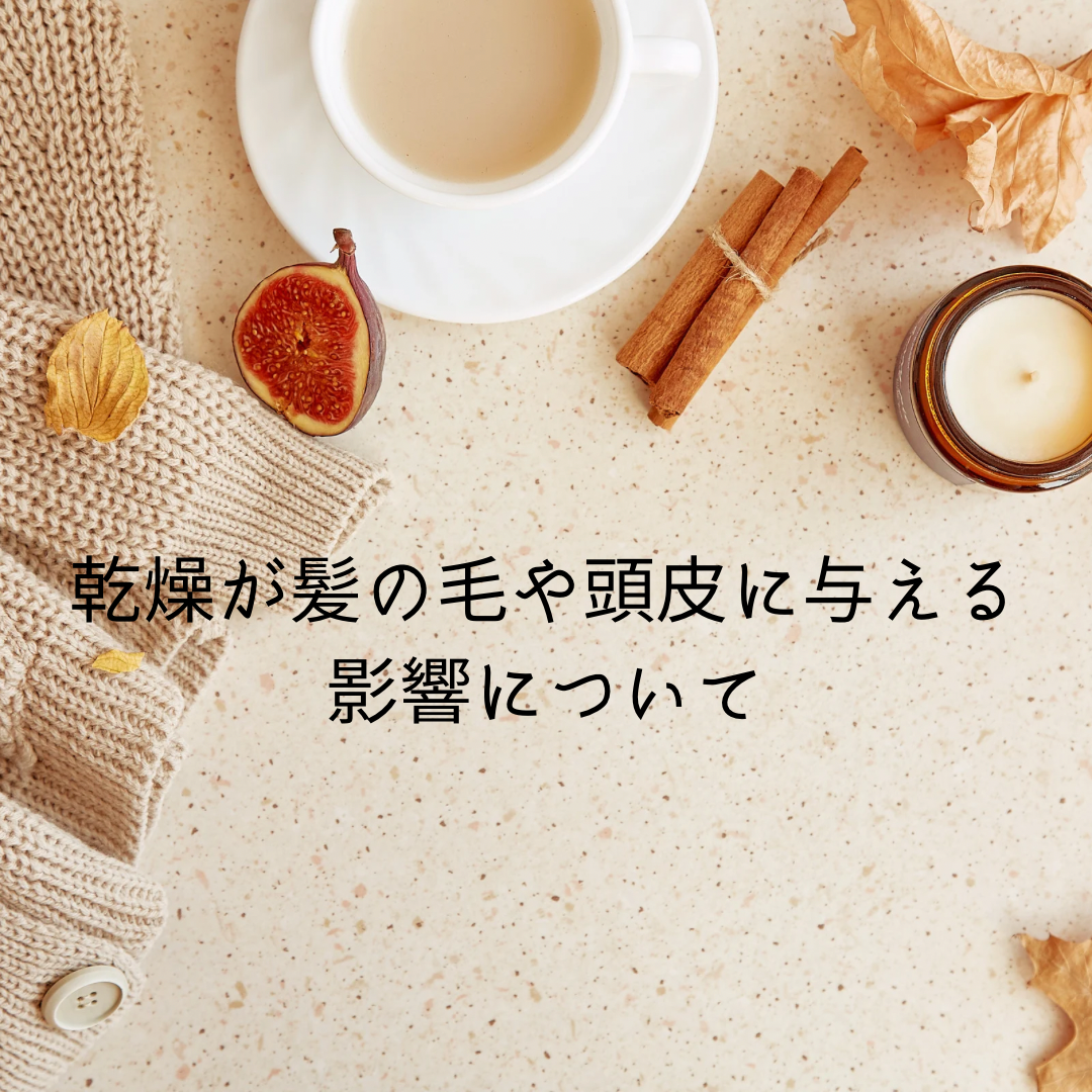 乾燥が頭皮や髪の毛に与える影響について