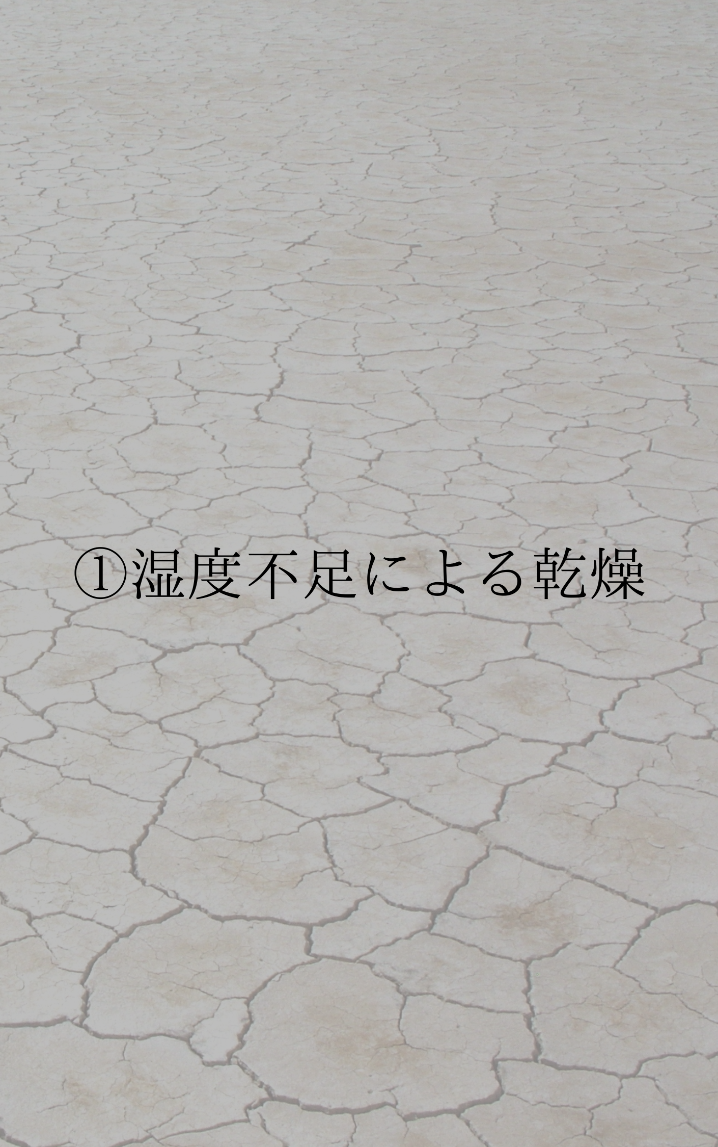 ①湿度不足による乾燥