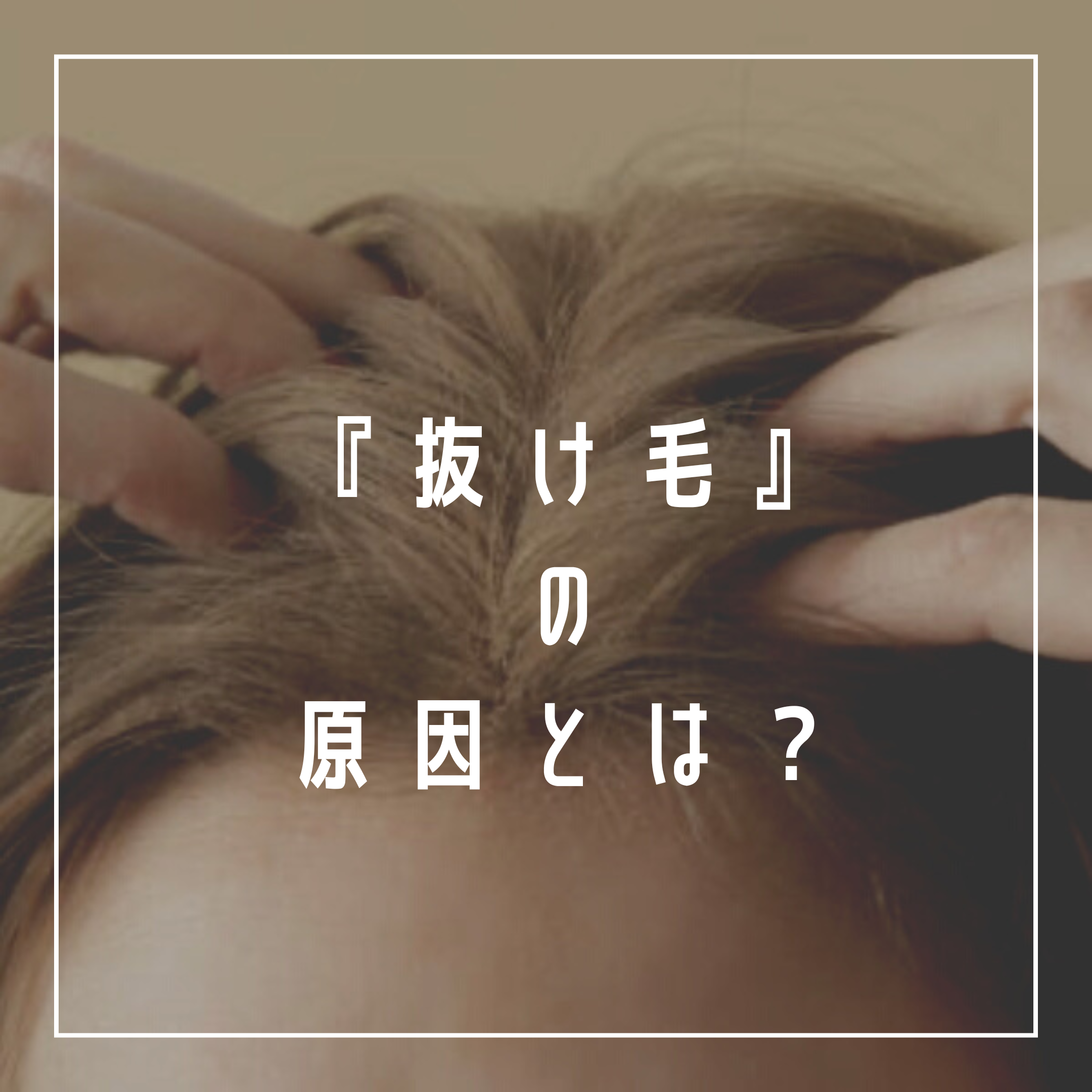 『抜け毛』の原因とは？