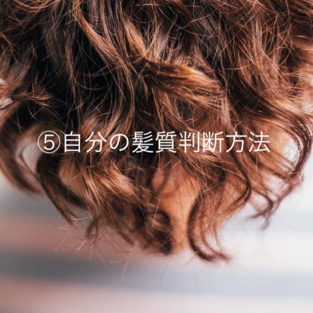 ⑤自分の髪質判断方法