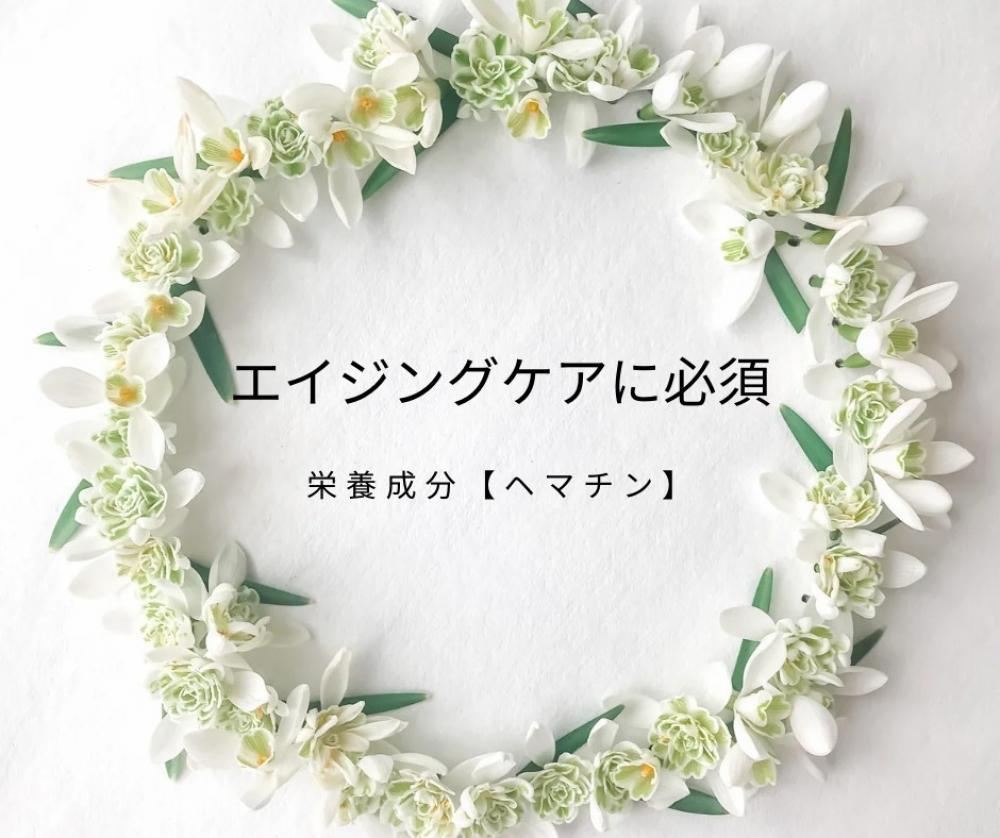 エイジングケアに必須！ヘアケアにおける栄養素【ヘマチン】 