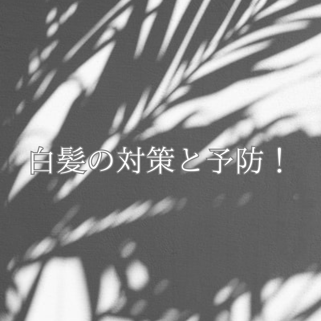 白髪の対策と予防