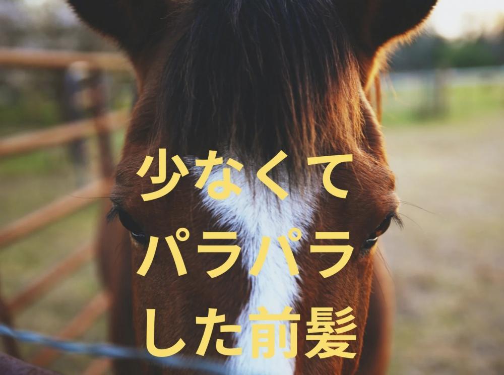 少なくてパラパラした前髪