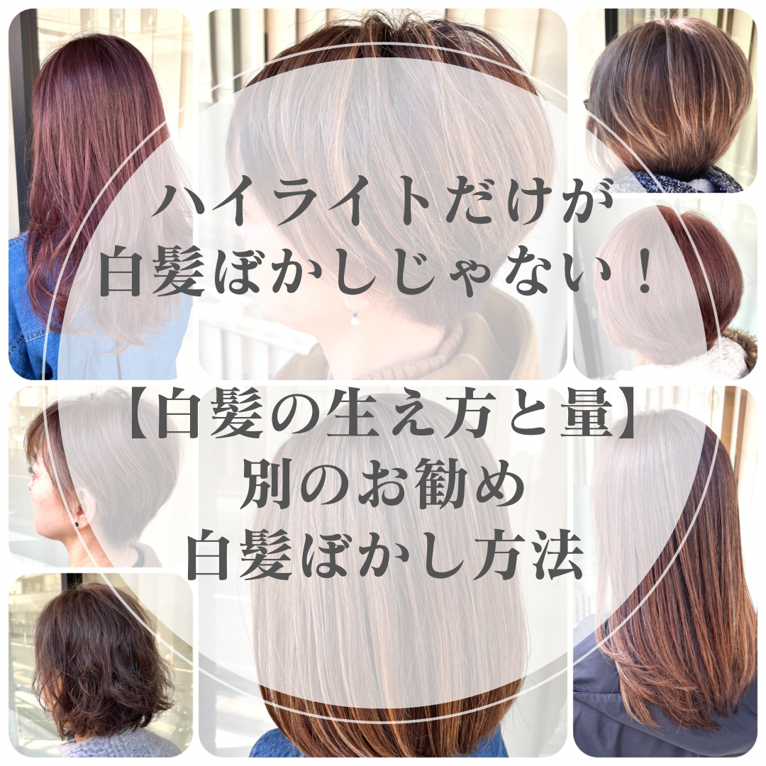ハイライトだけが白髪ぼかしじゃない！【白髪の生え方と量】別のお勧め白髪ぼかし方法