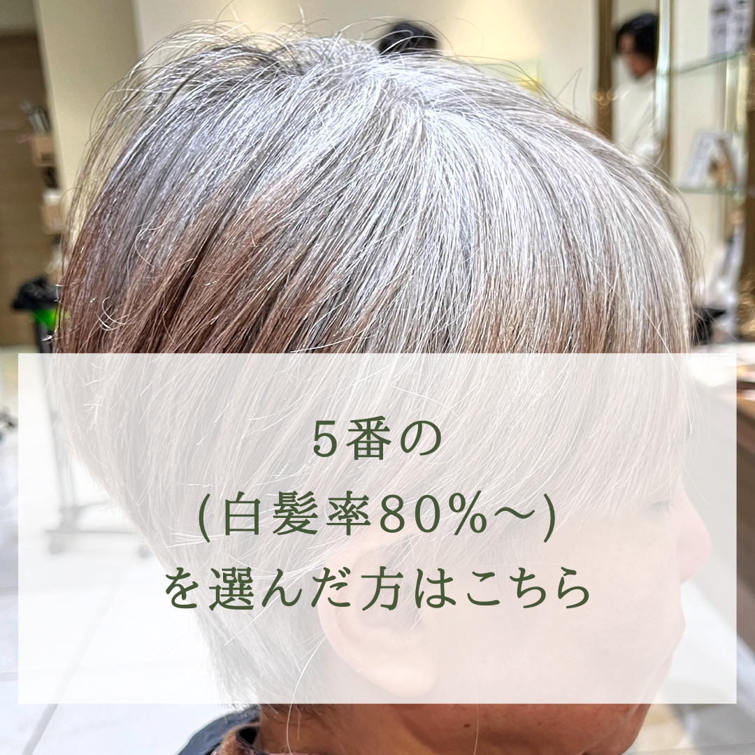 5番の(白髪率は80％～)を選んだ方はこちら