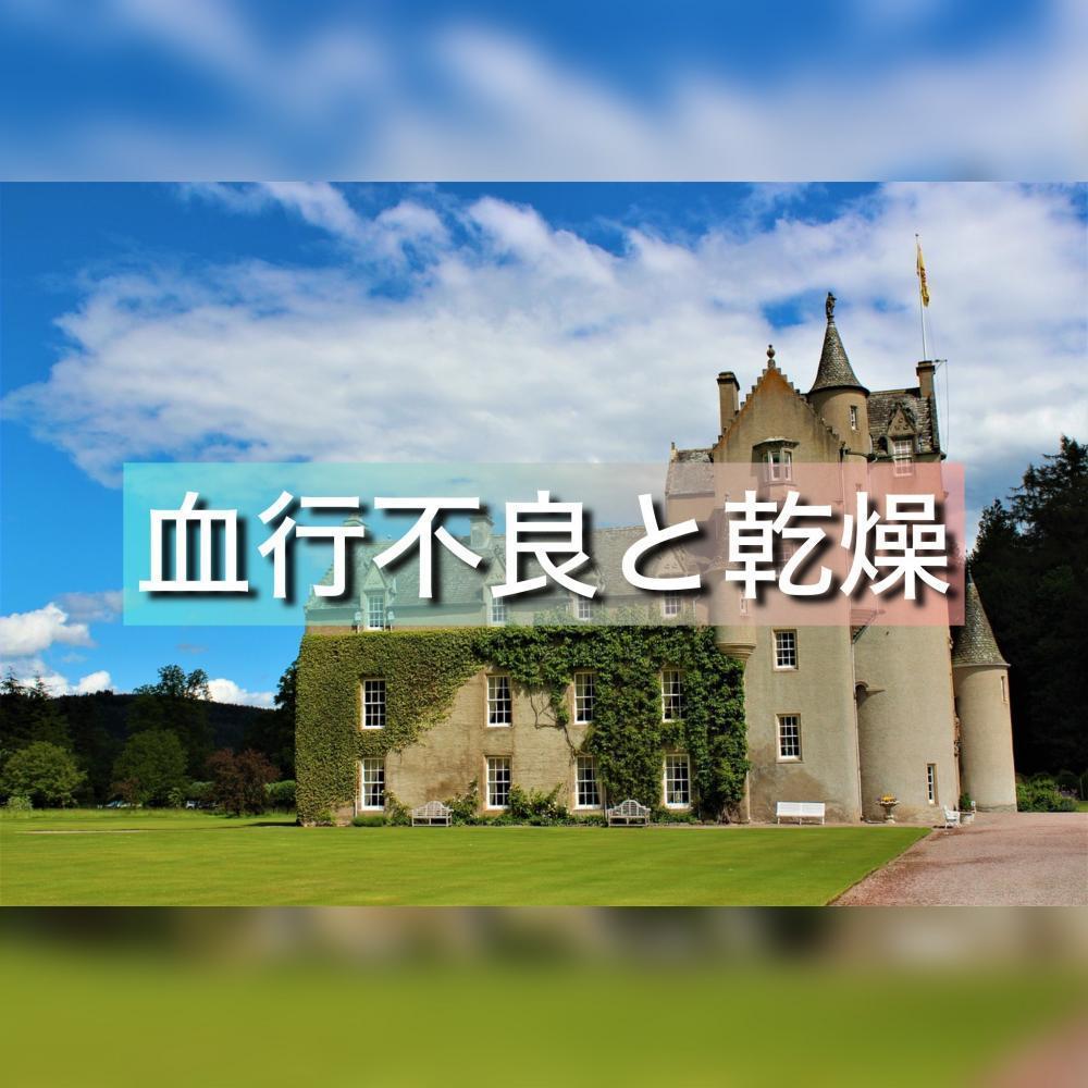 血行不良と乾燥