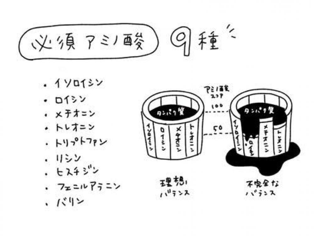 アミノ酸の効果、不足すると？