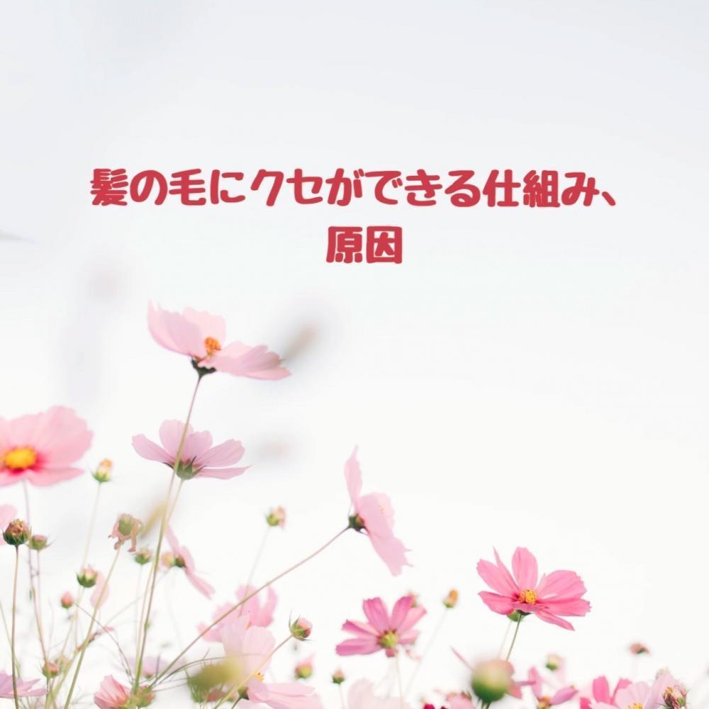 髪の毛にクセができる仕組み、原因。