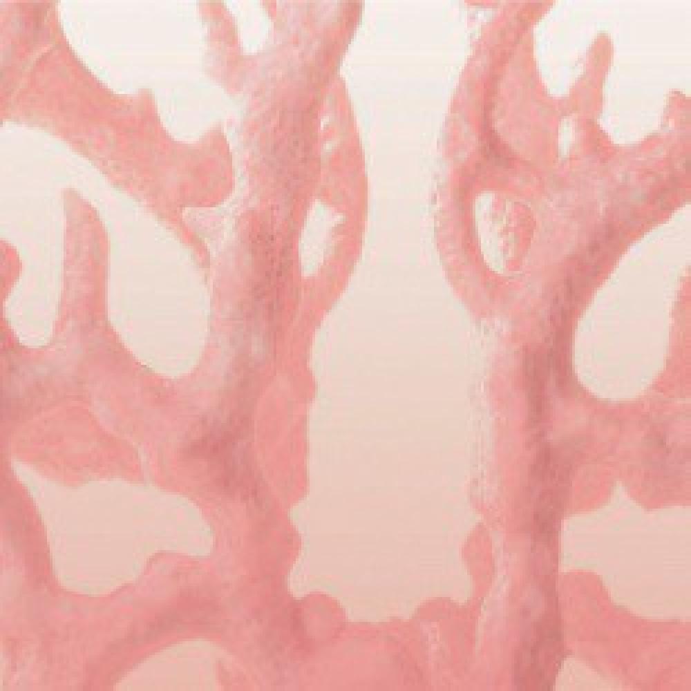 ILLUMINA CORAL