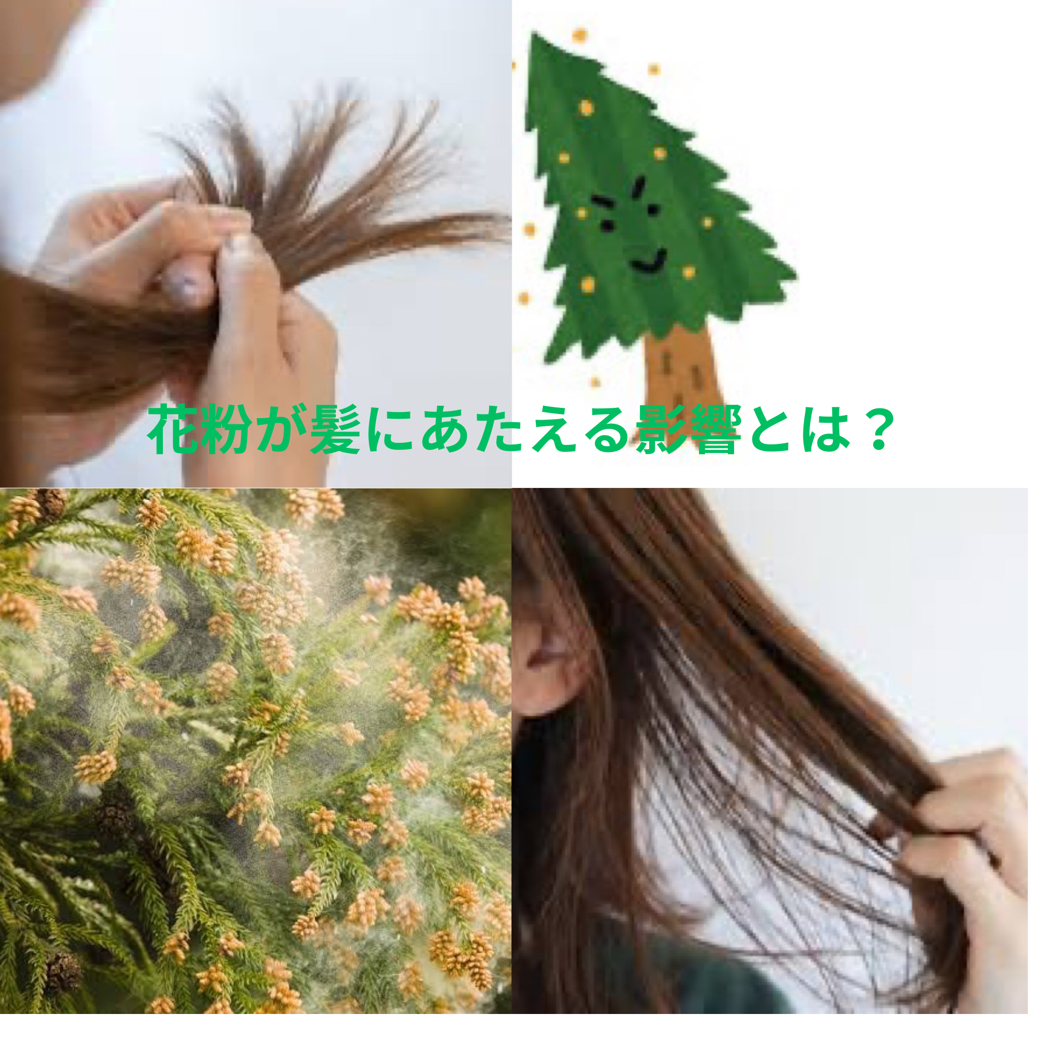花粉が髪に与える影響とは？ダメージケアで花粉を寄せ付けない髪に！
