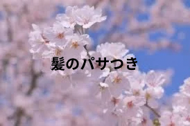 髪がパサパサしやすくなる
