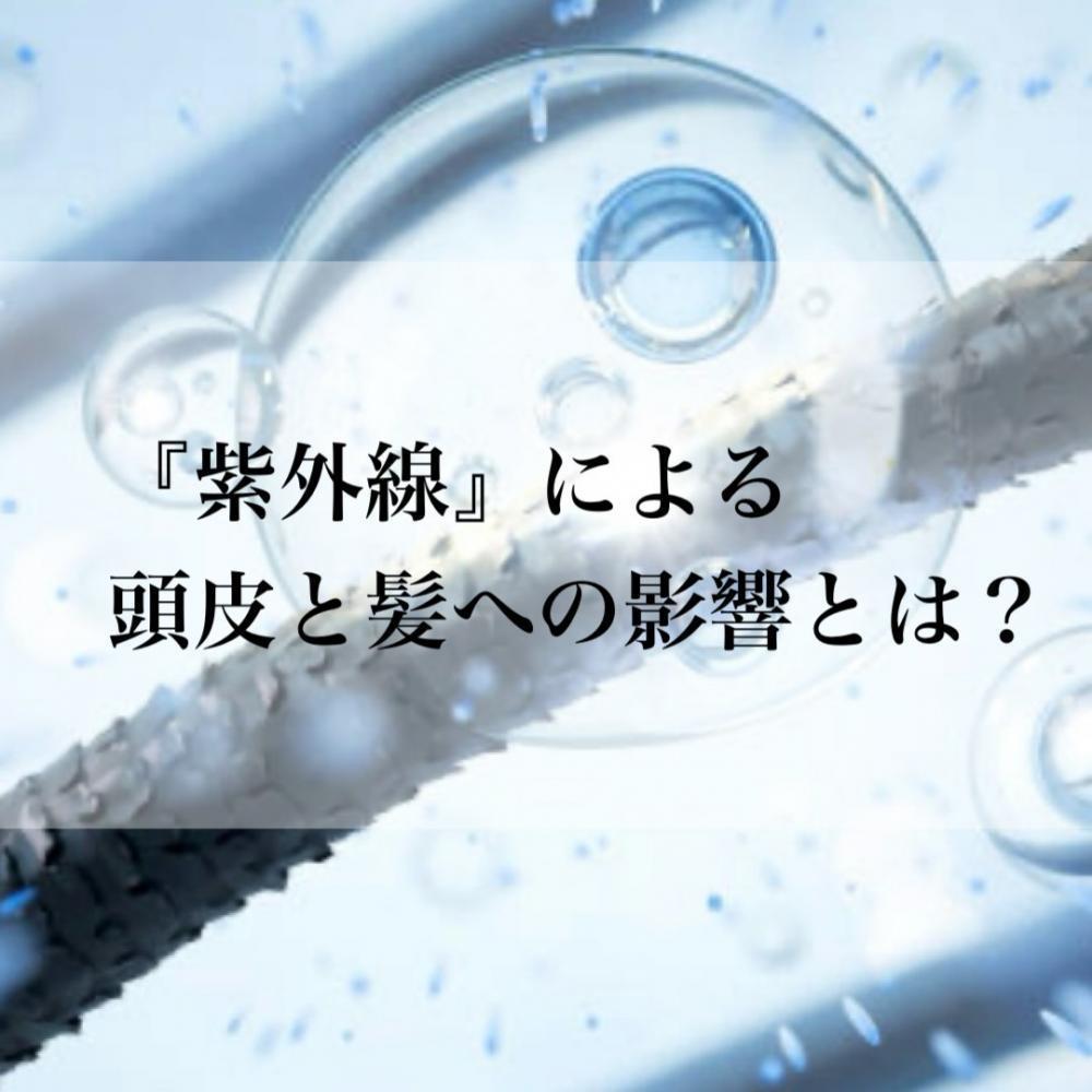 紫外線による頭皮と髪への影響とは？
