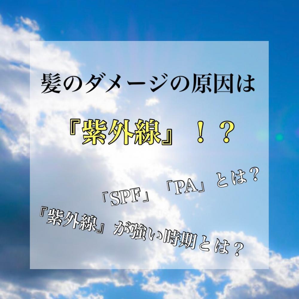 髪のダメージの原因は紫外線！？今すぐはじめる髪の紫外線ケア