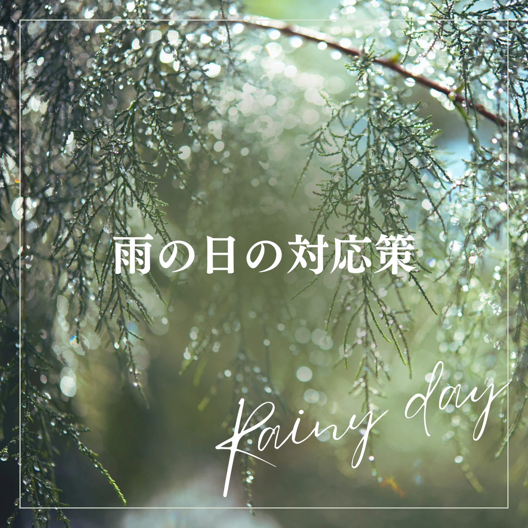 梅雨の影響でなにが起こる??
