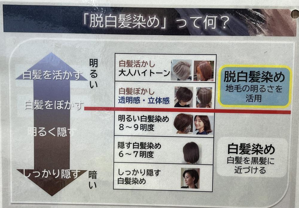 そもそも【白髪ぼかし】とは？
