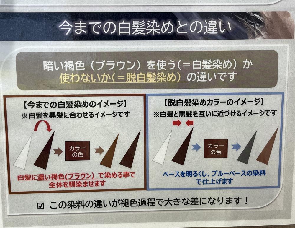 白髪染めとの違い