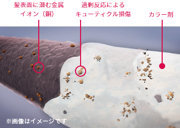 キューティクルのダメージ因子にアプローチする。「マイクロライトテクノロジー」