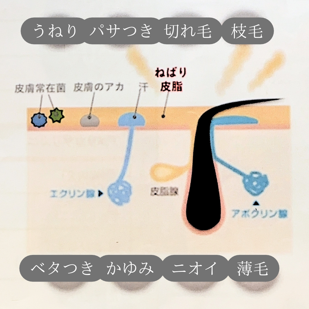 毎日のシャンプーで汚れを落としきれてないと…