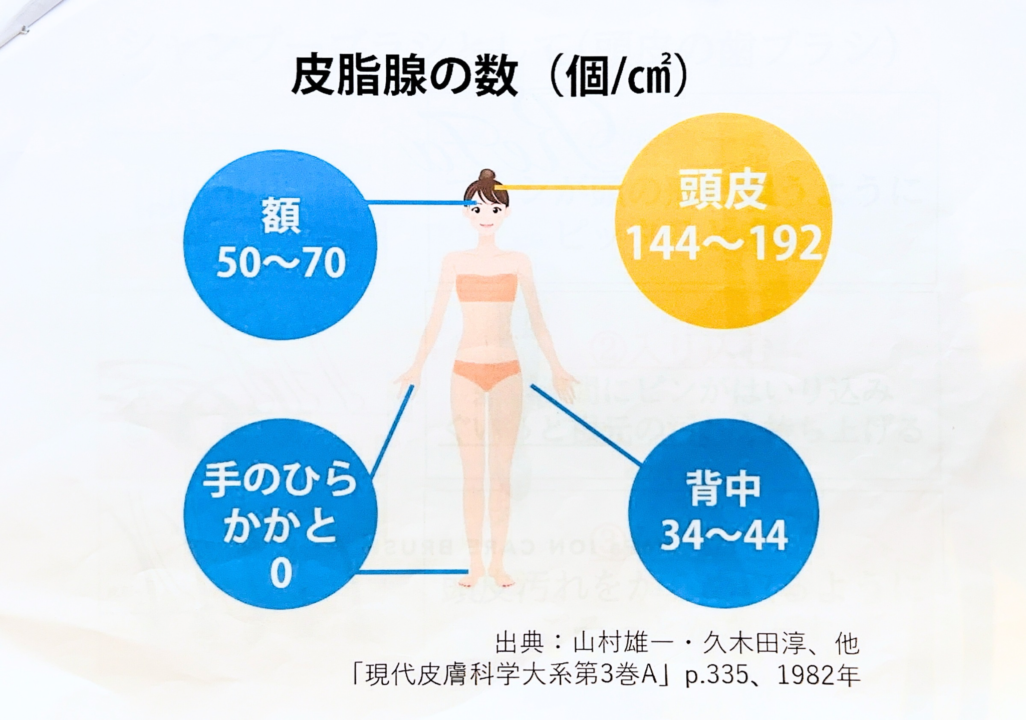体全体で皮脂腺の数は頭皮が1番多い