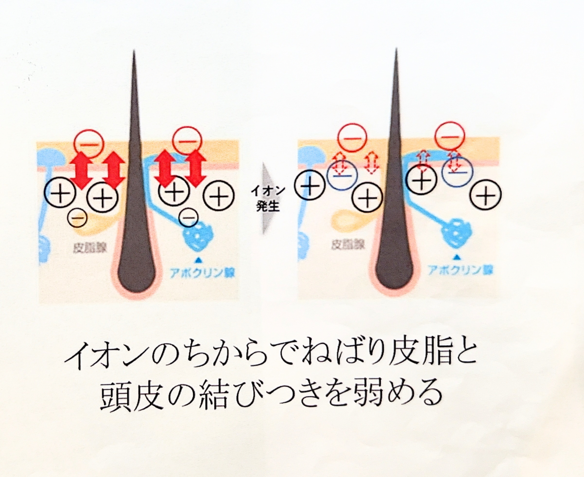 このブラシさえあれば！