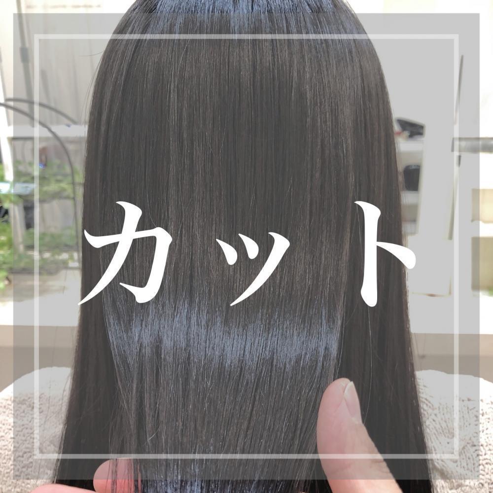 カット