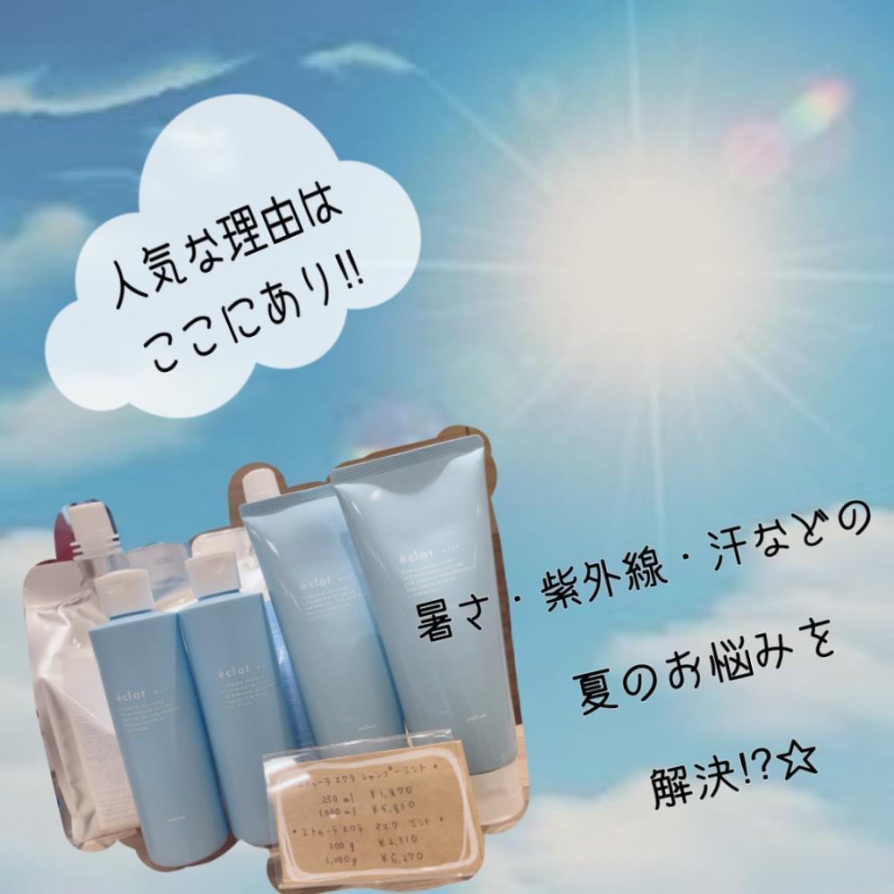 ★どんなシリーズ？人気の理由は？