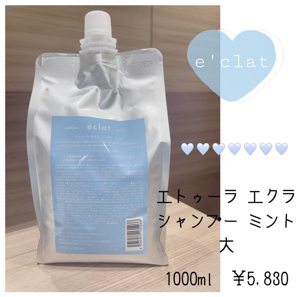 ★ エトゥーラ エクラ シャンプー ミント 大 