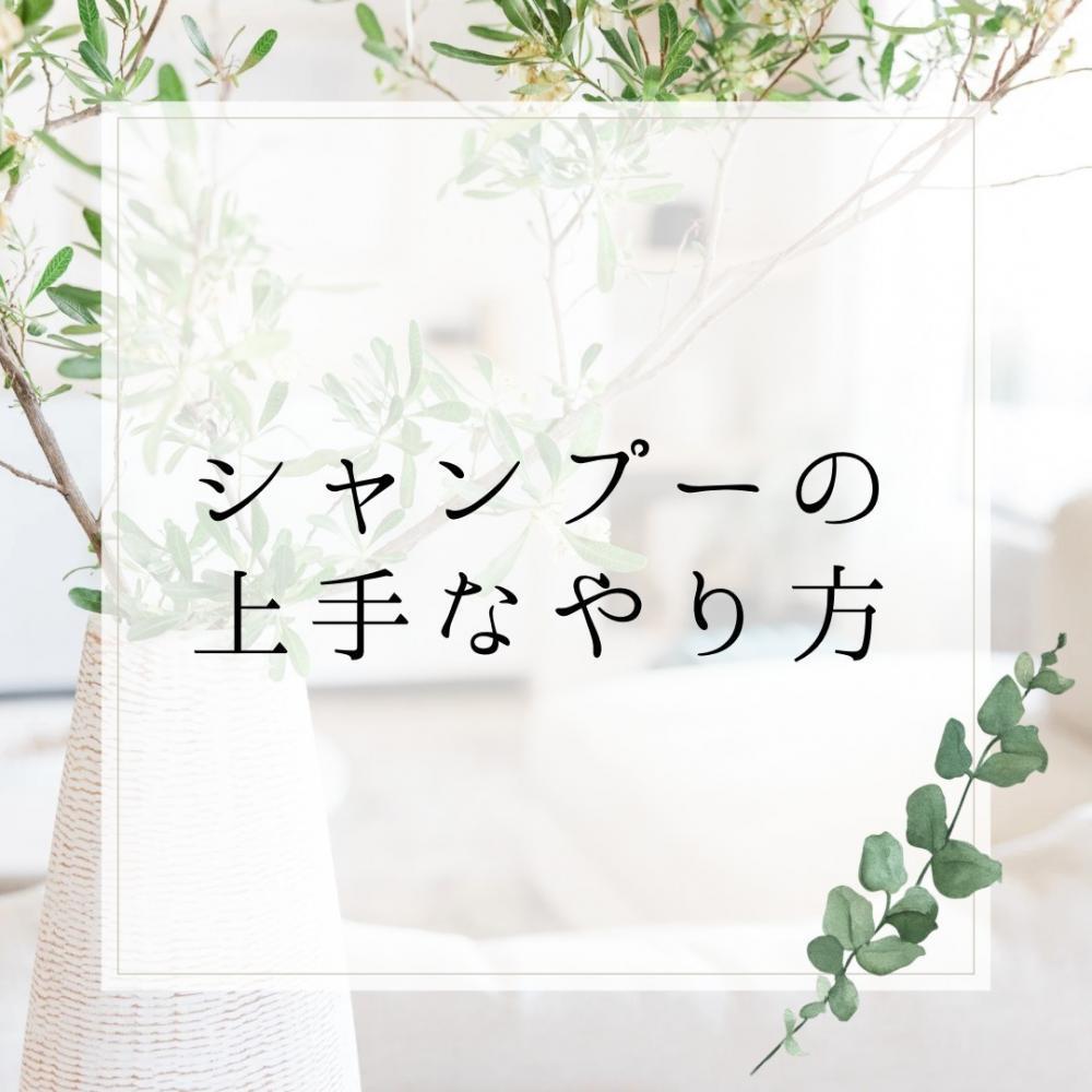 シャンプー編