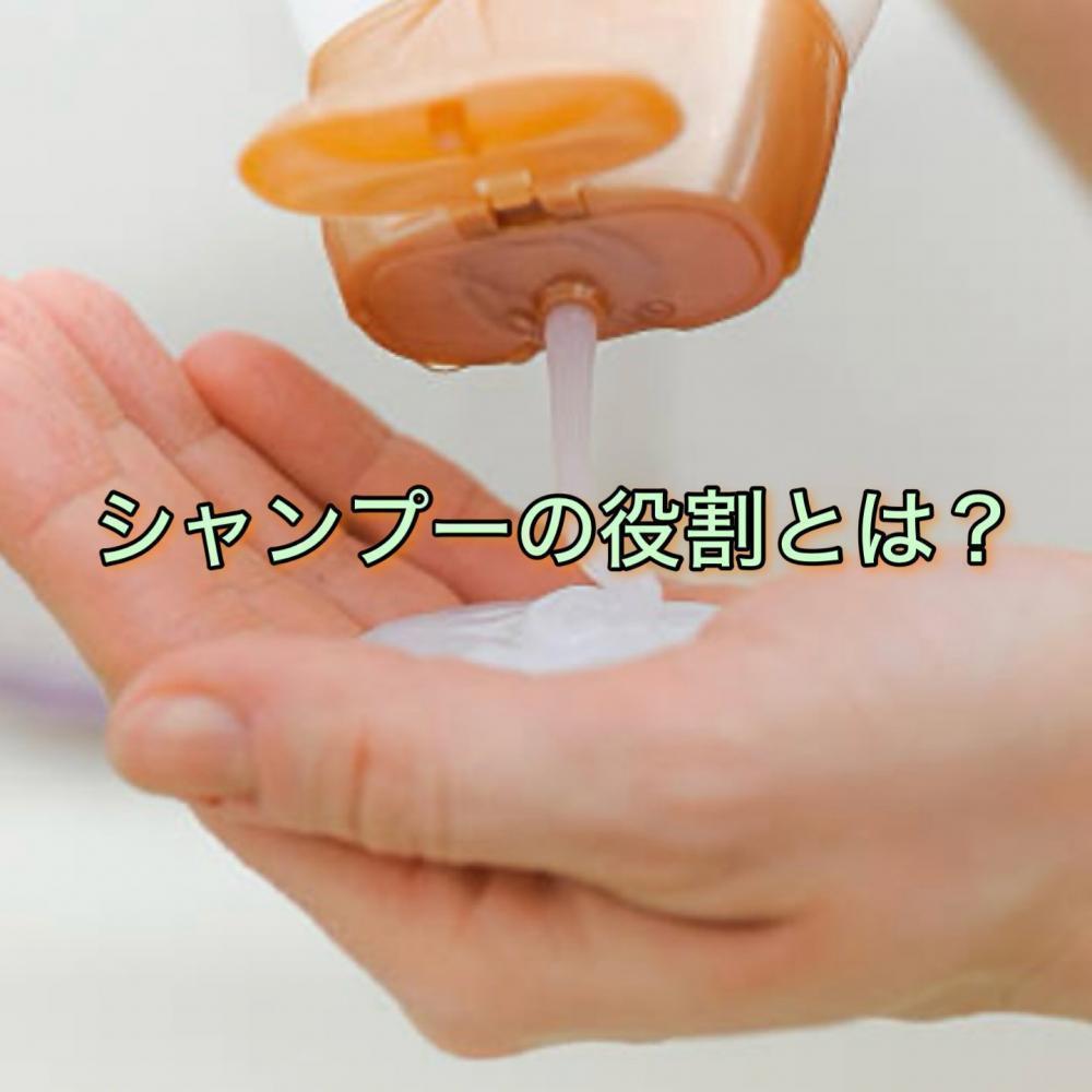 シャンプーの役割とは？