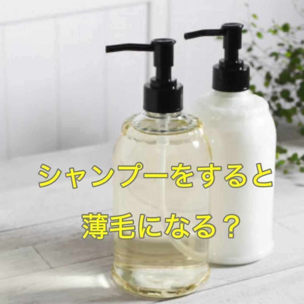 シャンプーしすぎると薄毛になる？