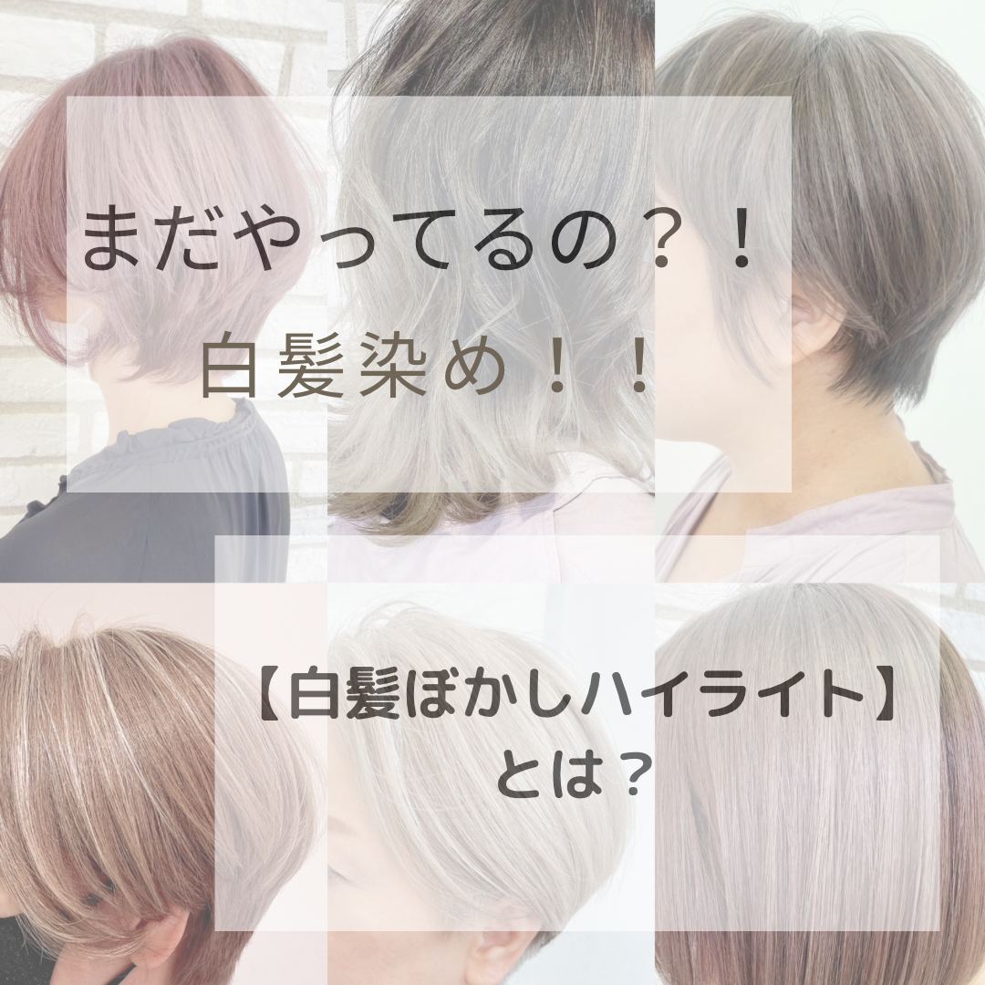 まだやってる？！白髪染め！！流行りの白髪ぼかしとは？？