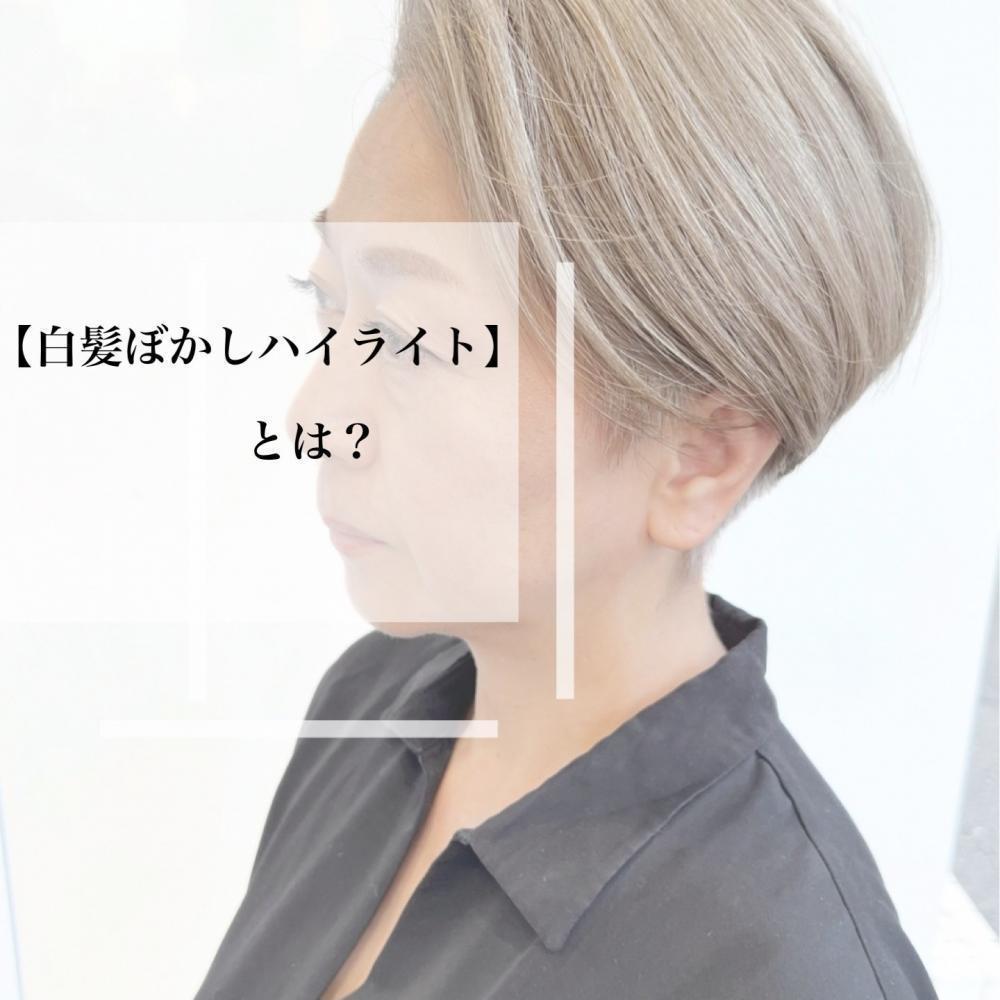 『白髪ぼかしハイライト』とは？