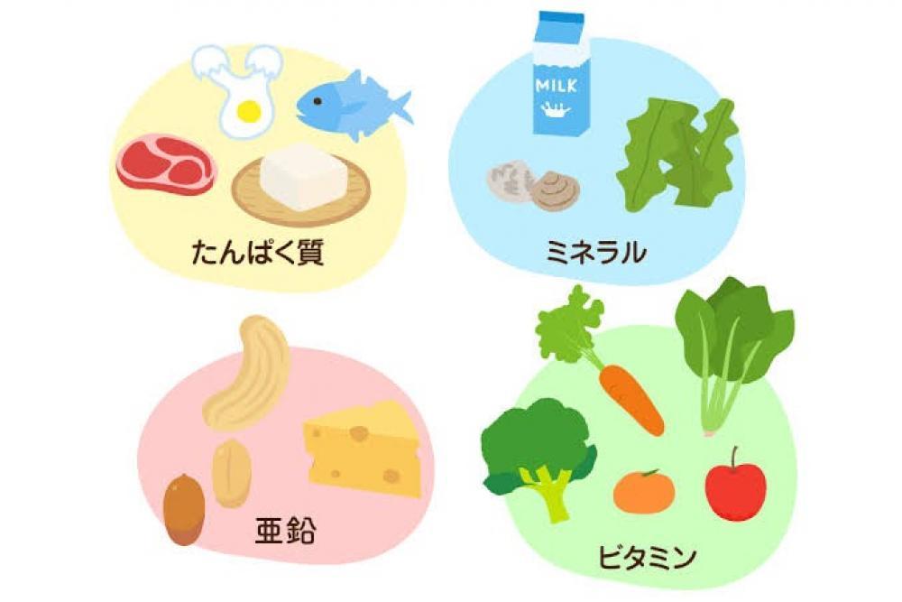 髪に必要な栄養とは？