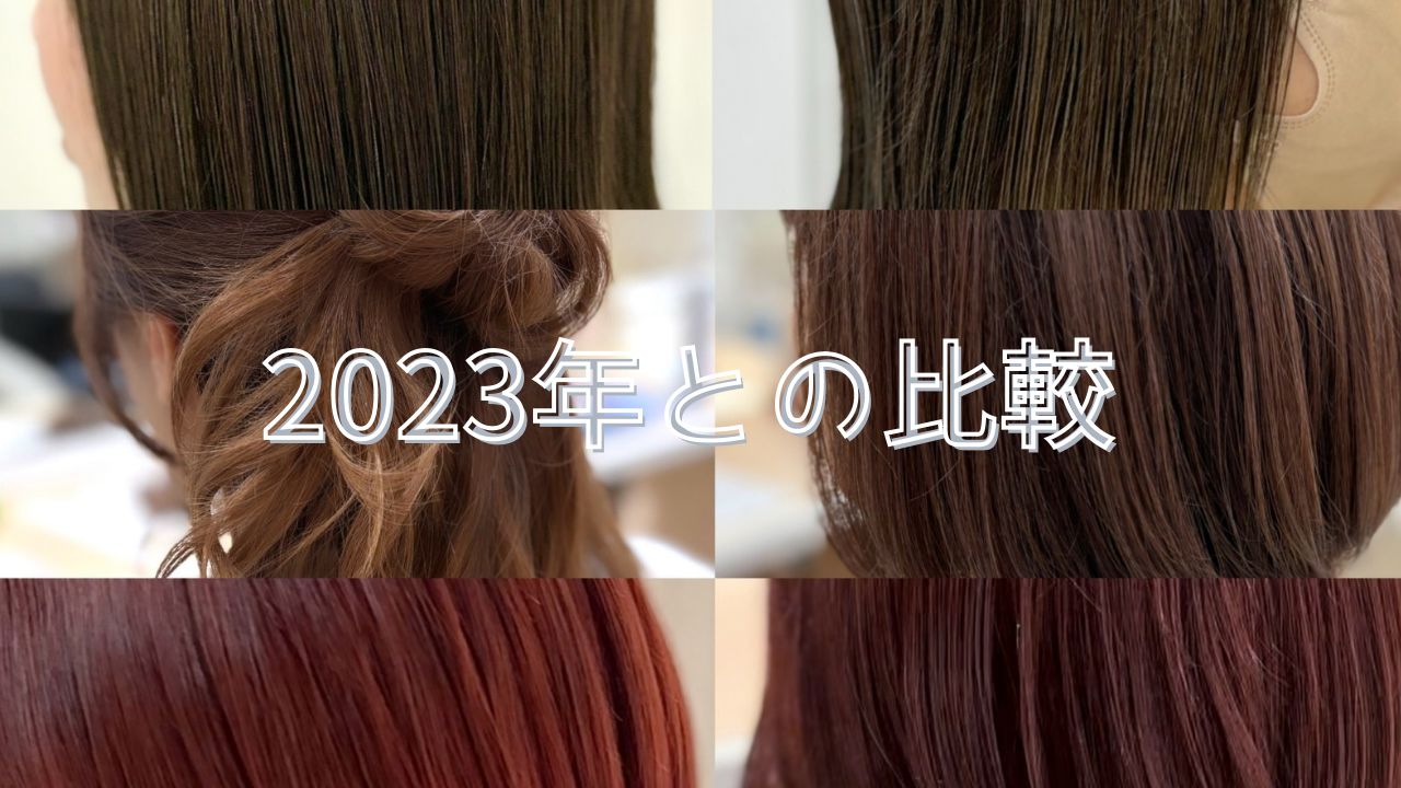 2023年と比較すると・・・？