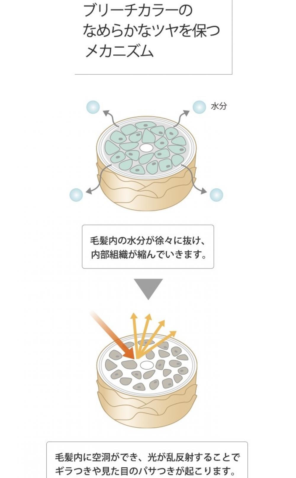 そもそも、なぜブリーチはダメージするのか？