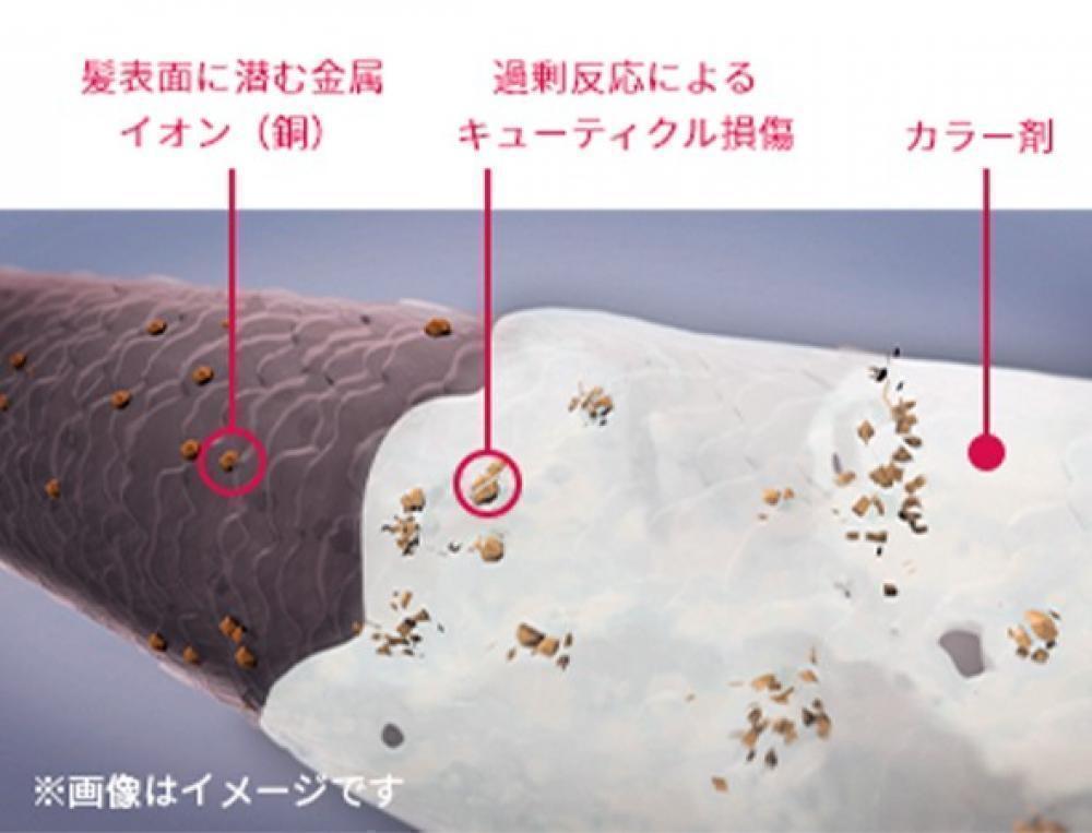 オススメの理由1、ダメージ軽減