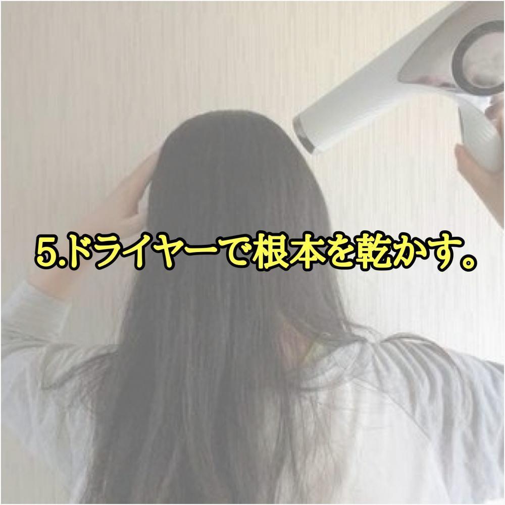 手順5.ドライヤーで根本を乾かす。