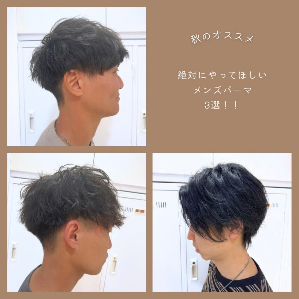 秋にオススメ！絶対にやってほしいパーマ3選！
