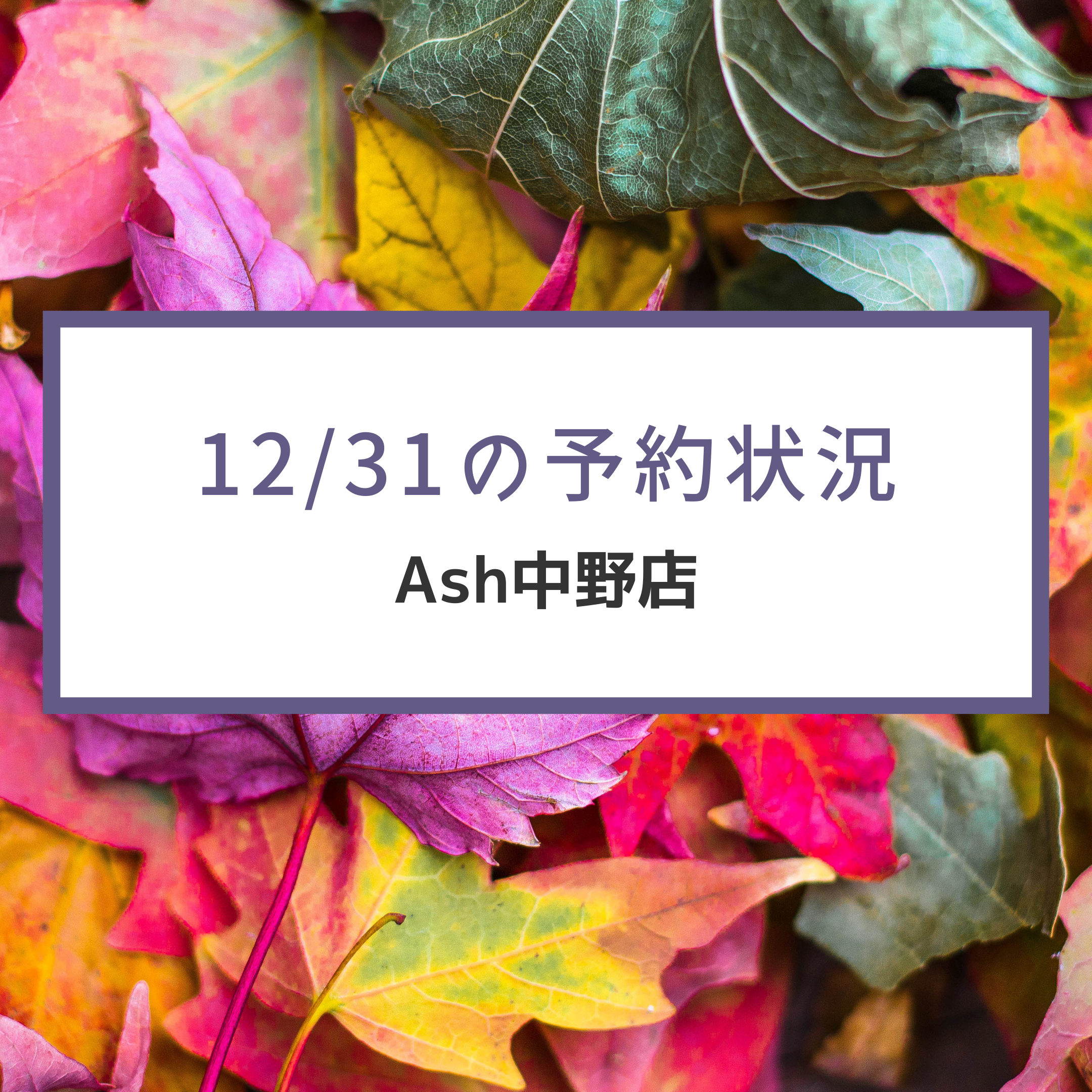 12/31 14時までの特別営業です！